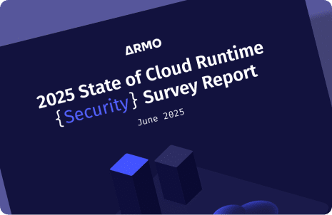runtime_survery_2025_blog_banner